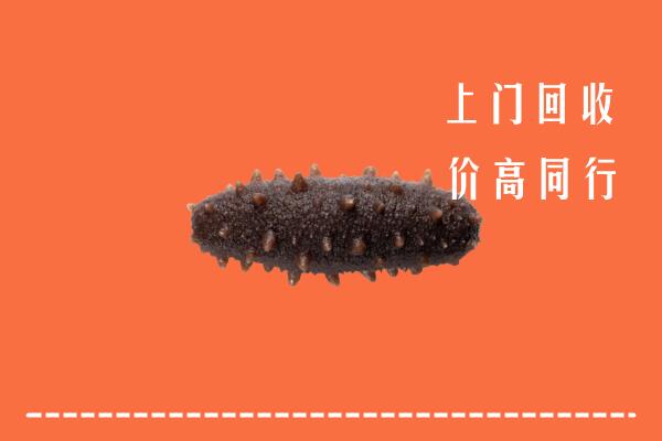 高价求购：白城回收海参