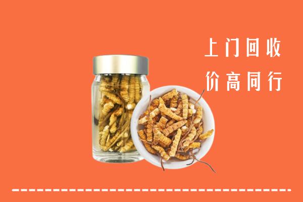 白城回收冬虫夏草
