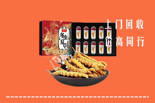 白城回收虫草